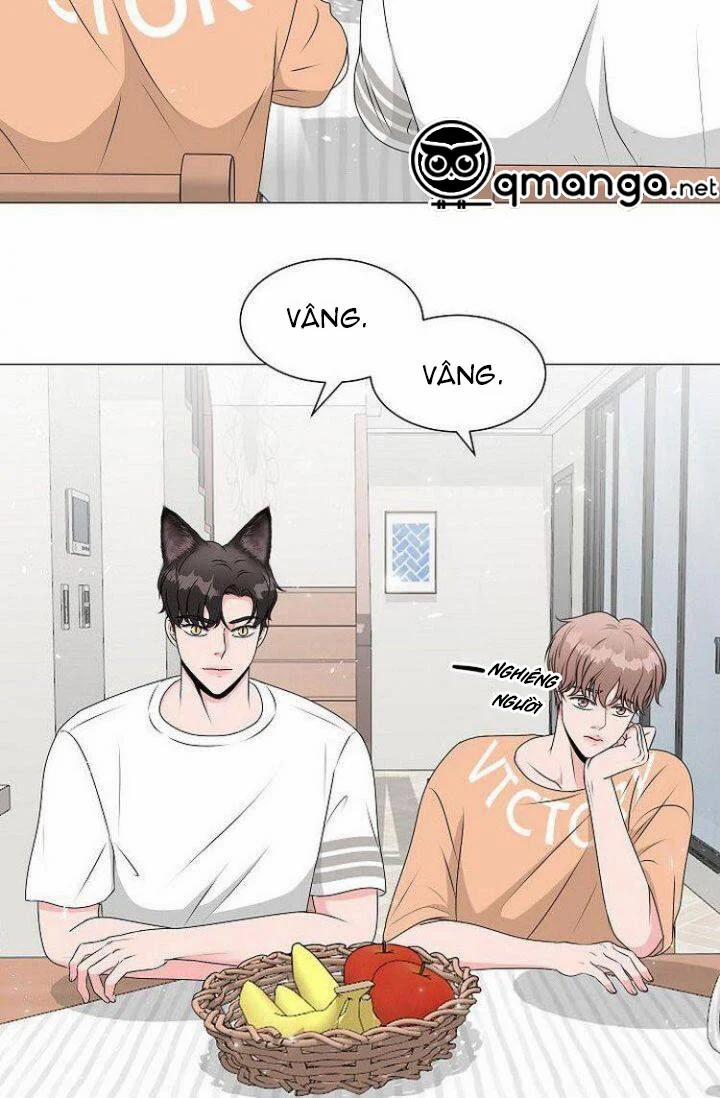 Chàng Mèo Của Tôi 1.2 trang 1