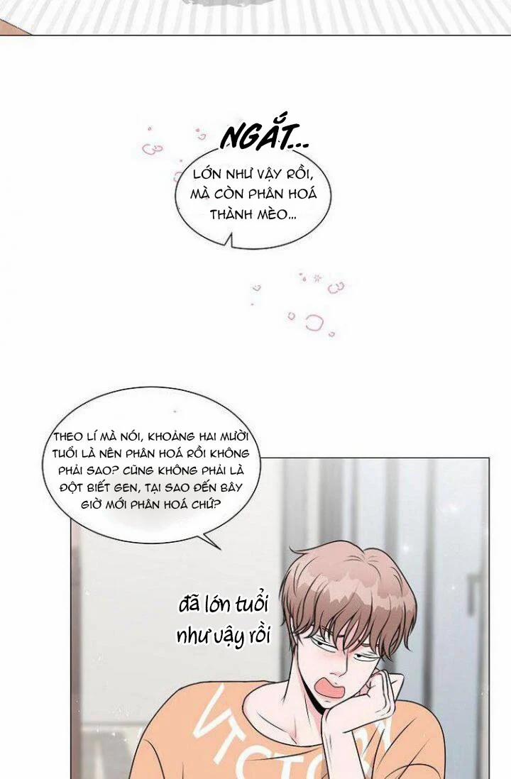 Chàng Mèo Của Tôi 1.2 trang 2