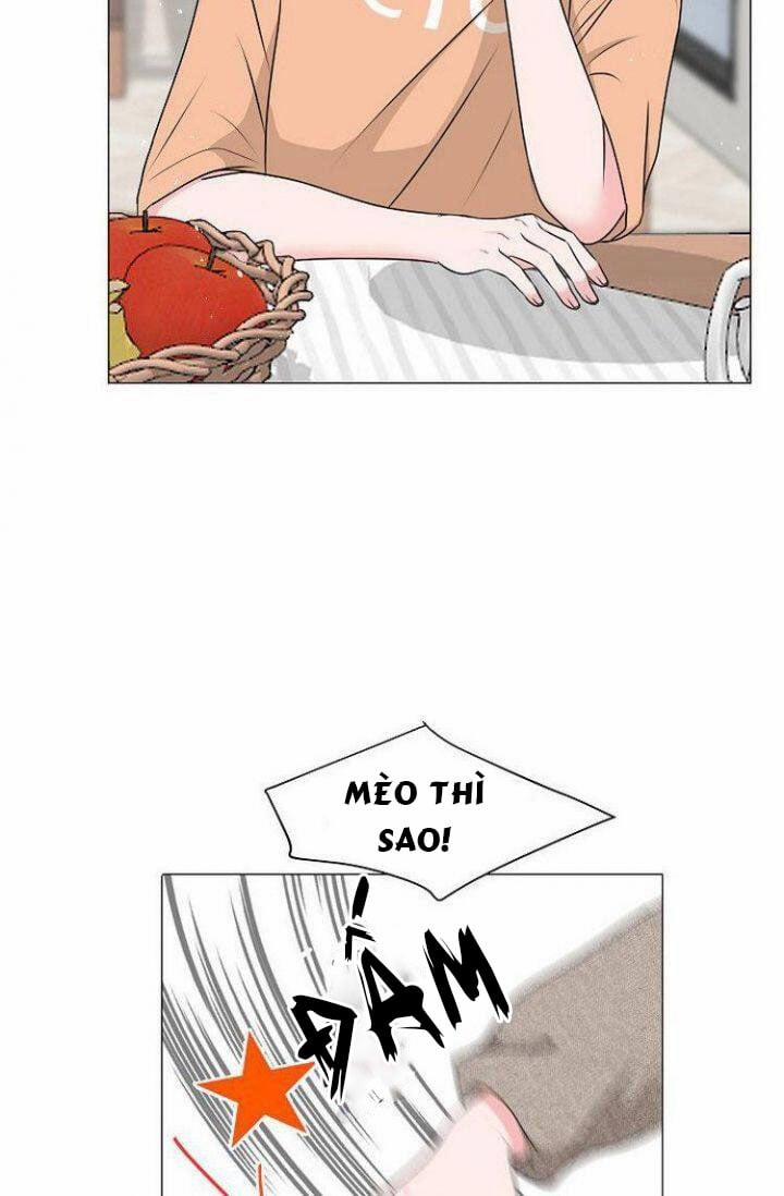 Chàng Mèo Của Tôi 1.2 trang 3