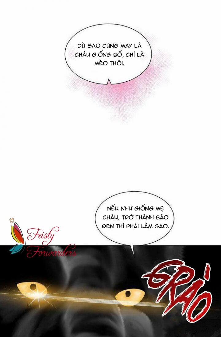 Chàng Mèo Của Tôi 1.2 trang 6