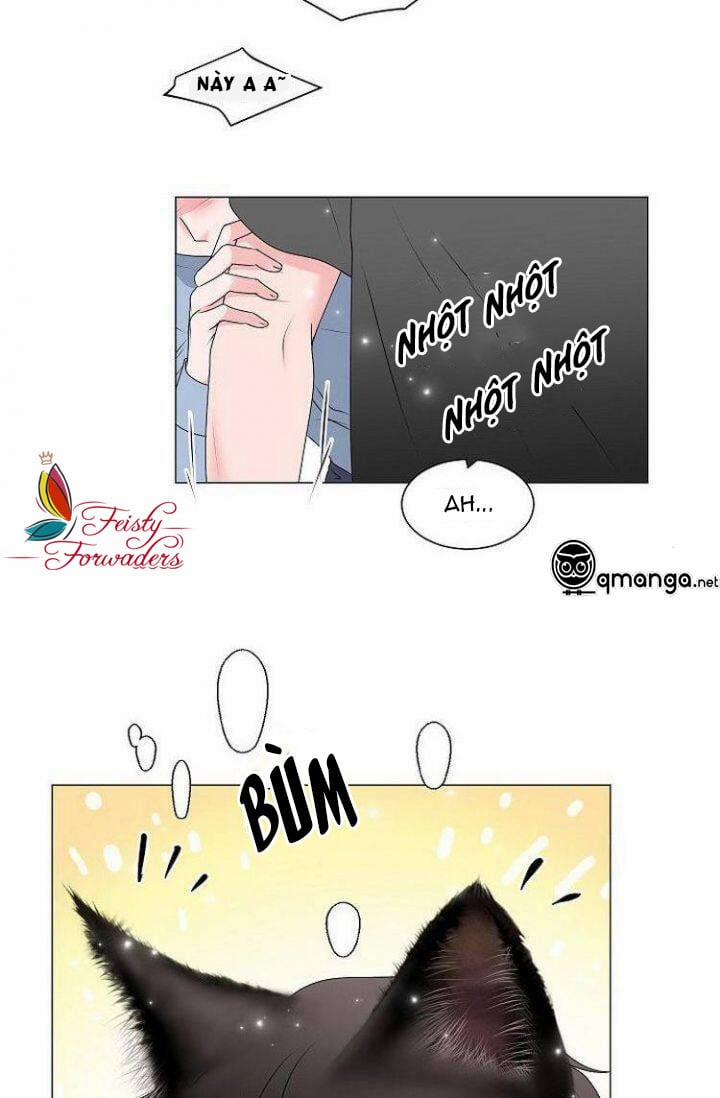 Chàng Mèo Của Tôi 1.3 trang 1