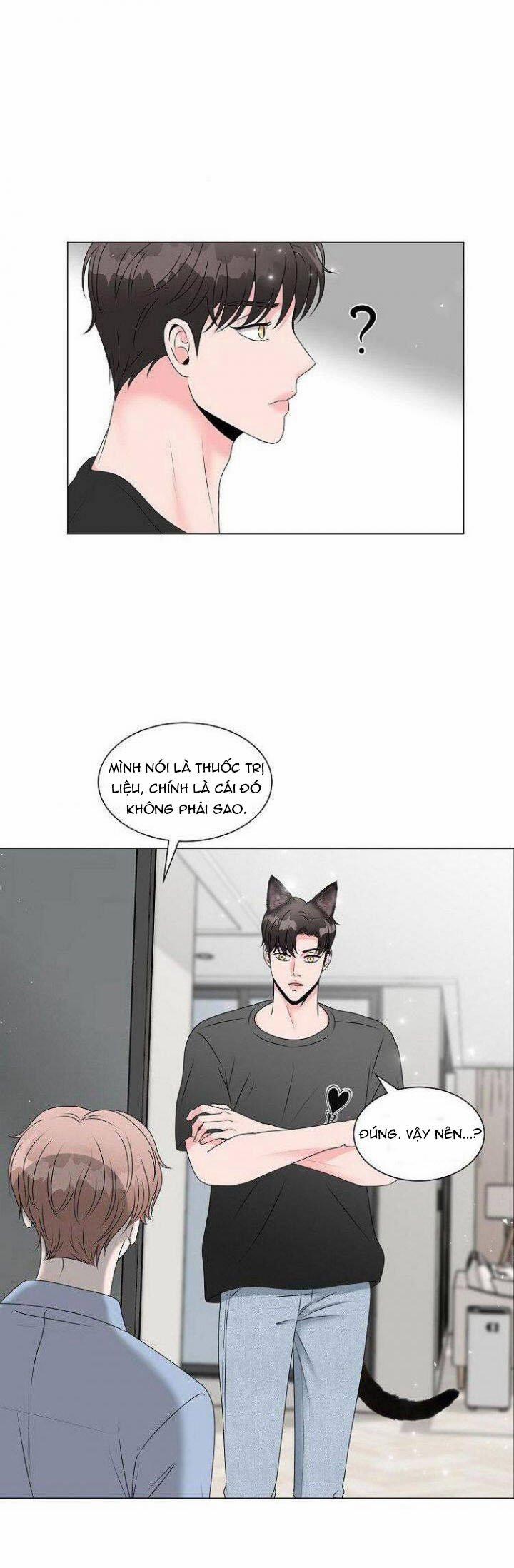 Chàng Mèo Của Tôi 1.3 trang 16