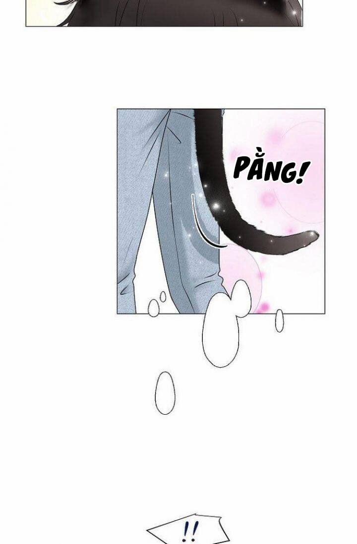 Chàng Mèo Của Tôi 1.3 trang 2