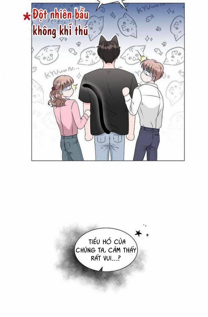 Chàng Mèo Của Tôi 1.3 trang 3