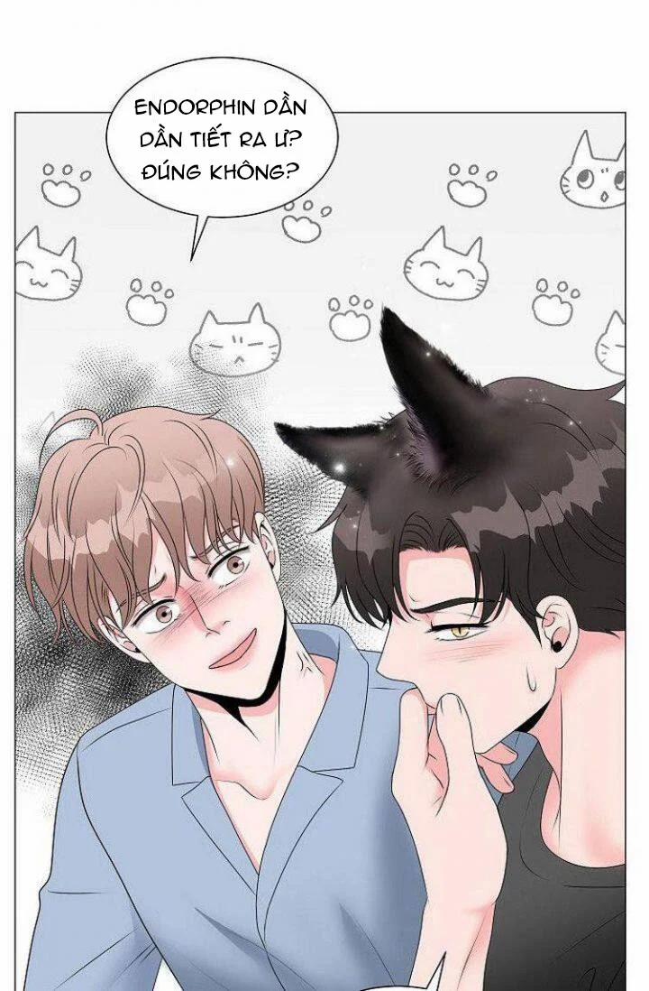 Chàng Mèo Của Tôi 1.3 trang 4