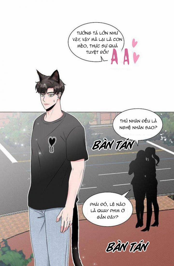 Chàng Mèo Của Tôi 1.3 trang 6