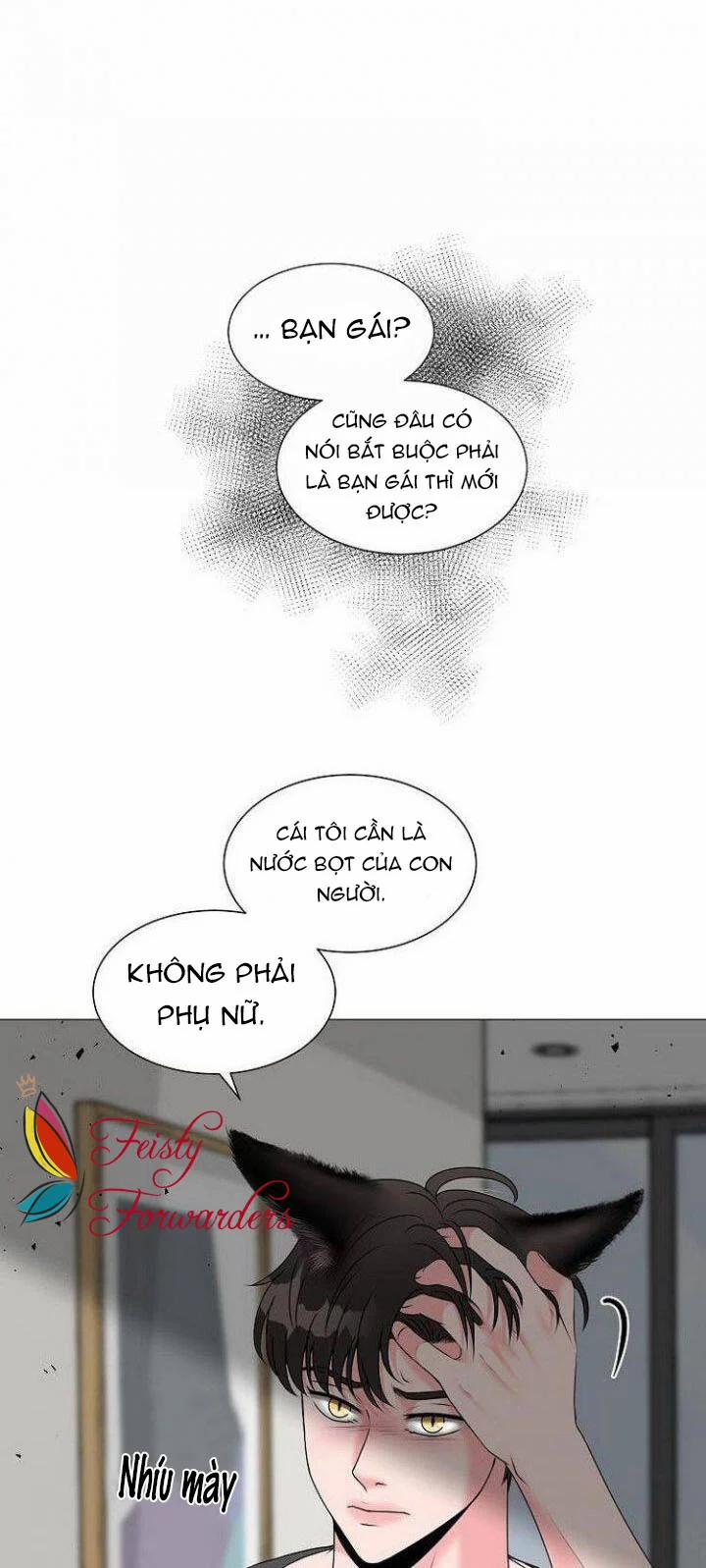 Chàng Mèo Của Tôi 1.4 trang 0