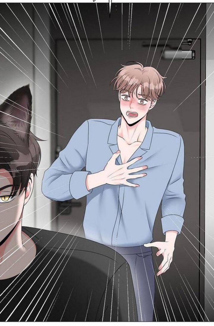 Chàng Mèo Của Tôi 1.4 trang 11