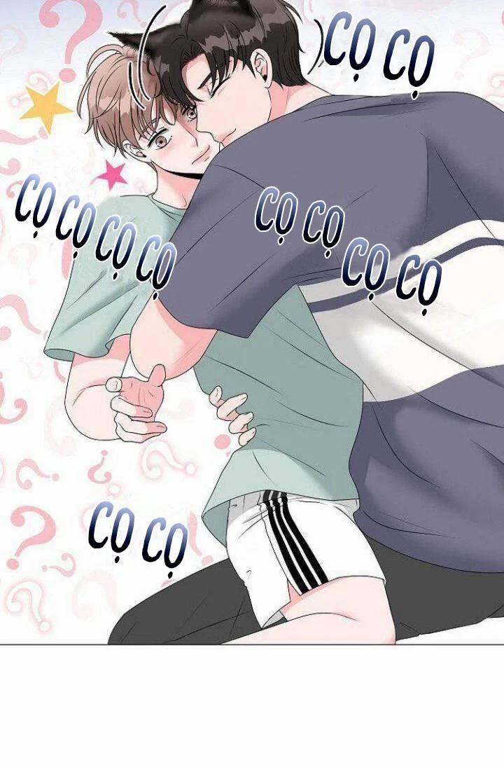 Chàng Mèo Của Tôi 2.1 trang 10