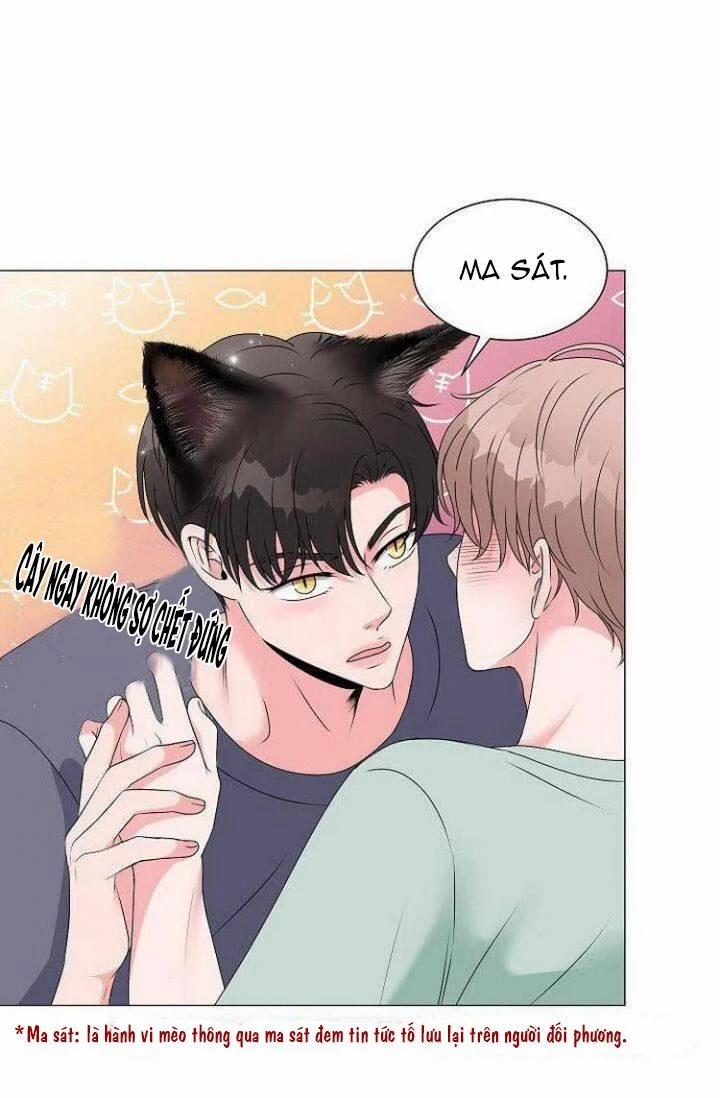 Chàng Mèo Của Tôi 2.1 trang 13