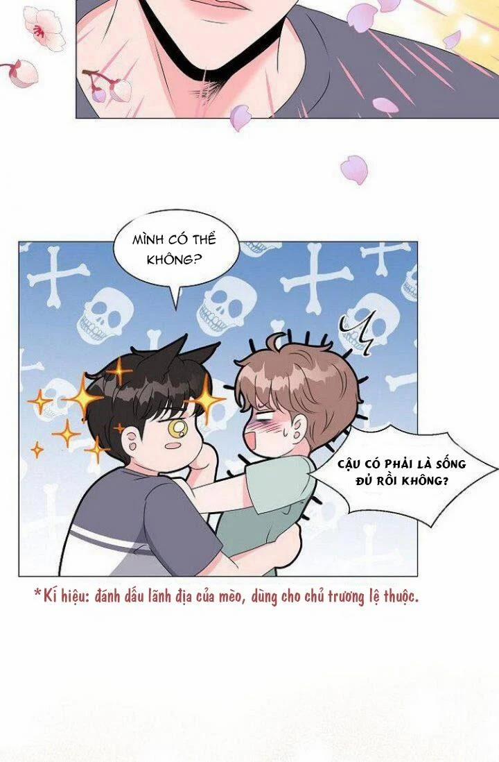 Chàng Mèo Của Tôi 2.1 trang 16