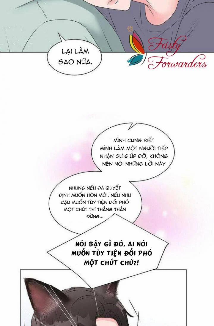Chàng Mèo Của Tôi 2.1 trang 18