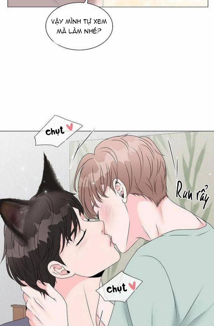 Chàng Mèo Của Tôi 2.1 trang 22