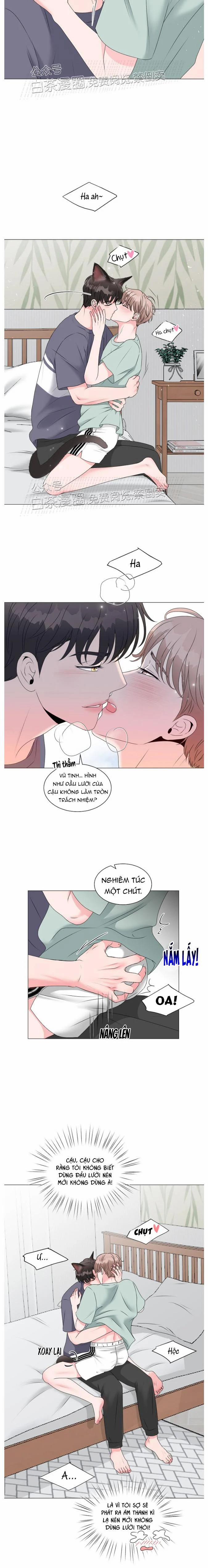 Chàng Mèo Của Tôi 2.1 trang 23