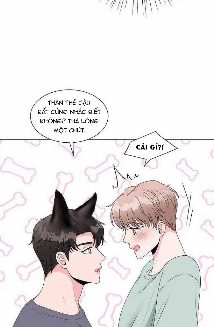 Chàng Mèo Của Tôi 2.1 trang 5