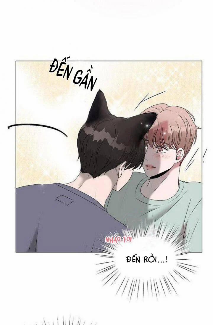 Chàng Mèo Của Tôi 2.1 trang 7