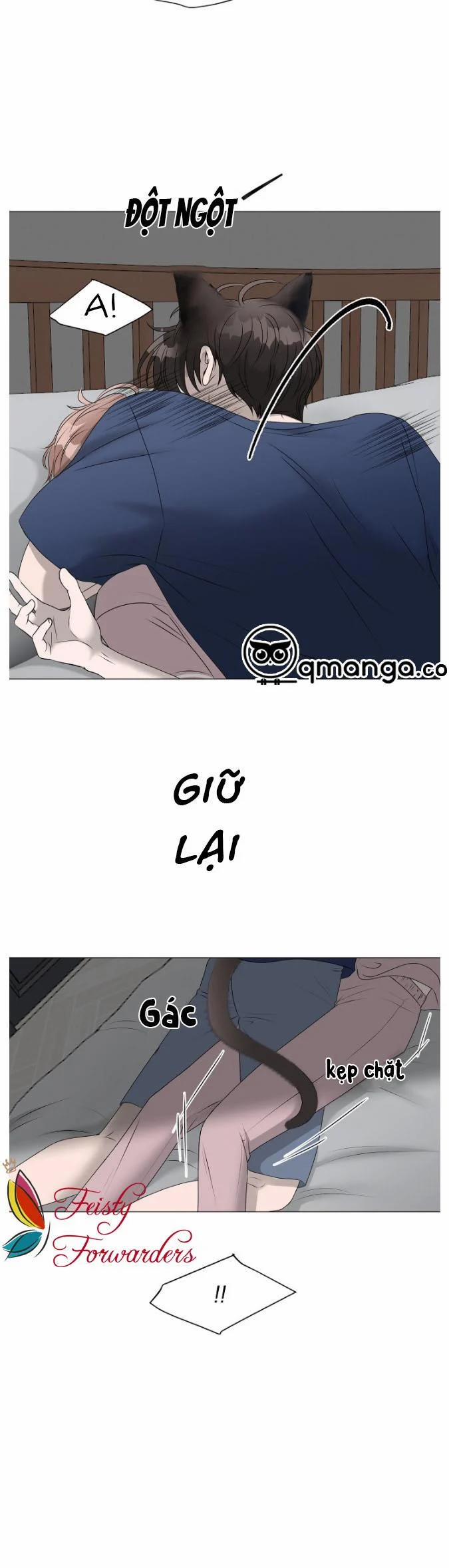 Chàng Mèo Của Tôi 2.4 trang 10