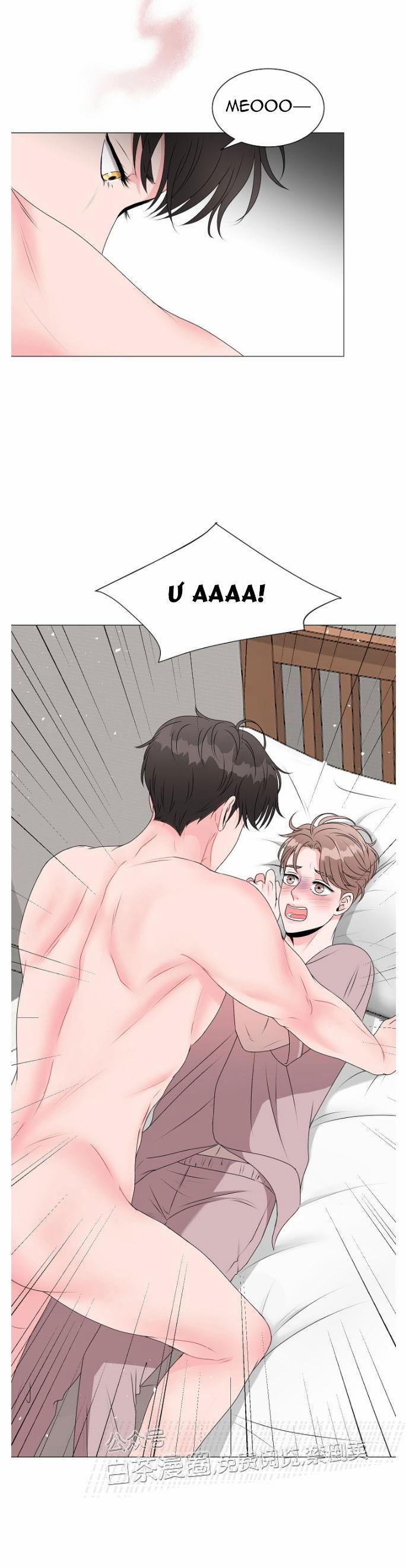 Chàng Mèo Của Tôi 3.1 trang 10