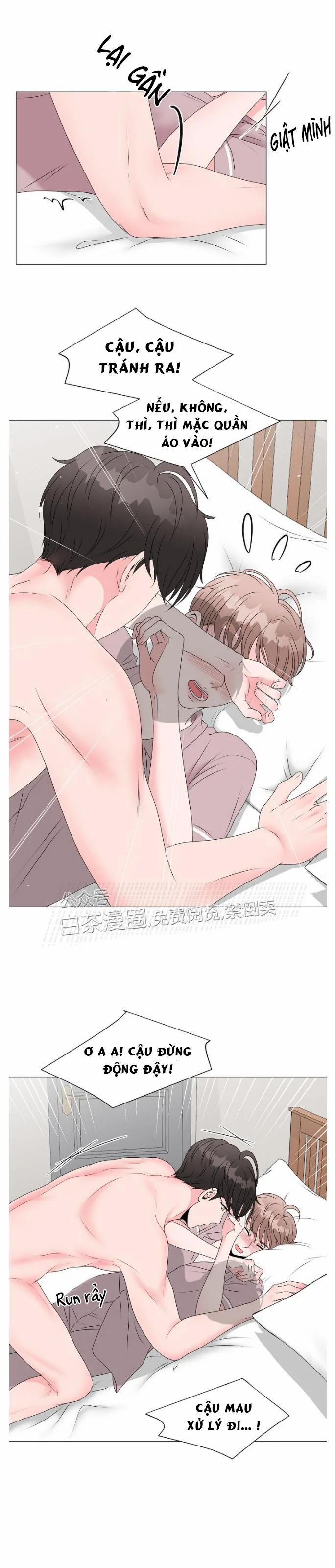 Chàng Mèo Của Tôi 3.1 trang 14