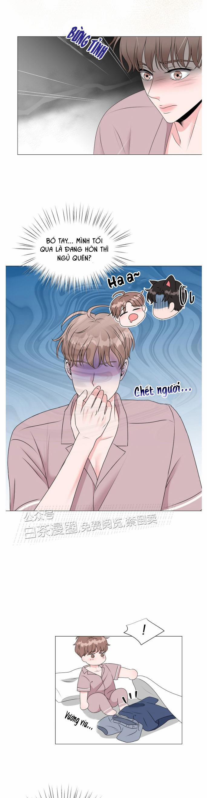 Chàng Mèo Của Tôi 3.1 trang 2