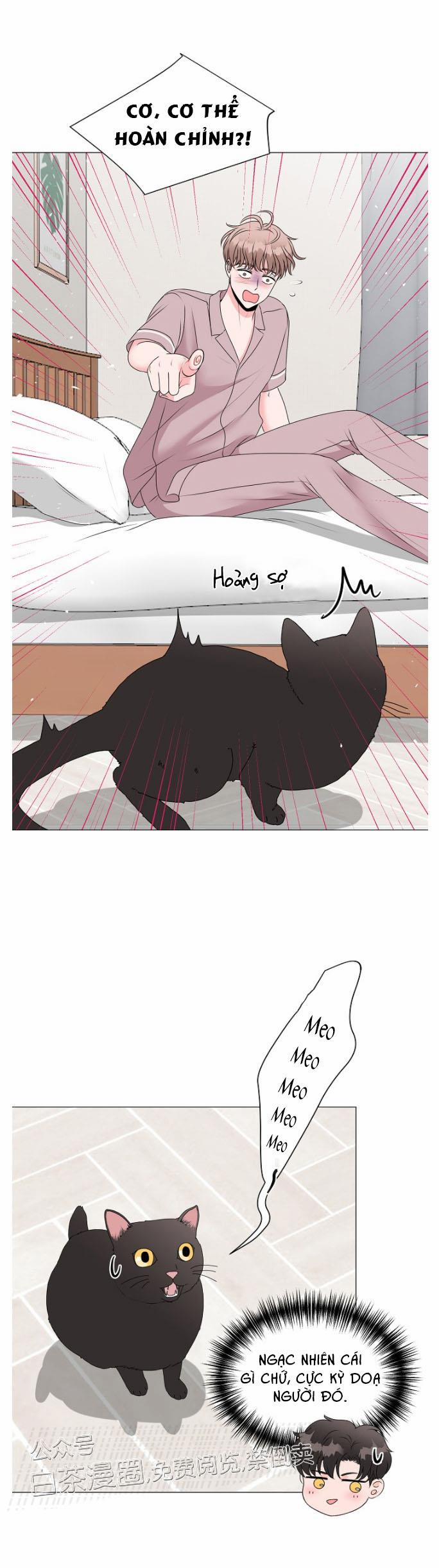 Chàng Mèo Của Tôi 3.1 trang 4