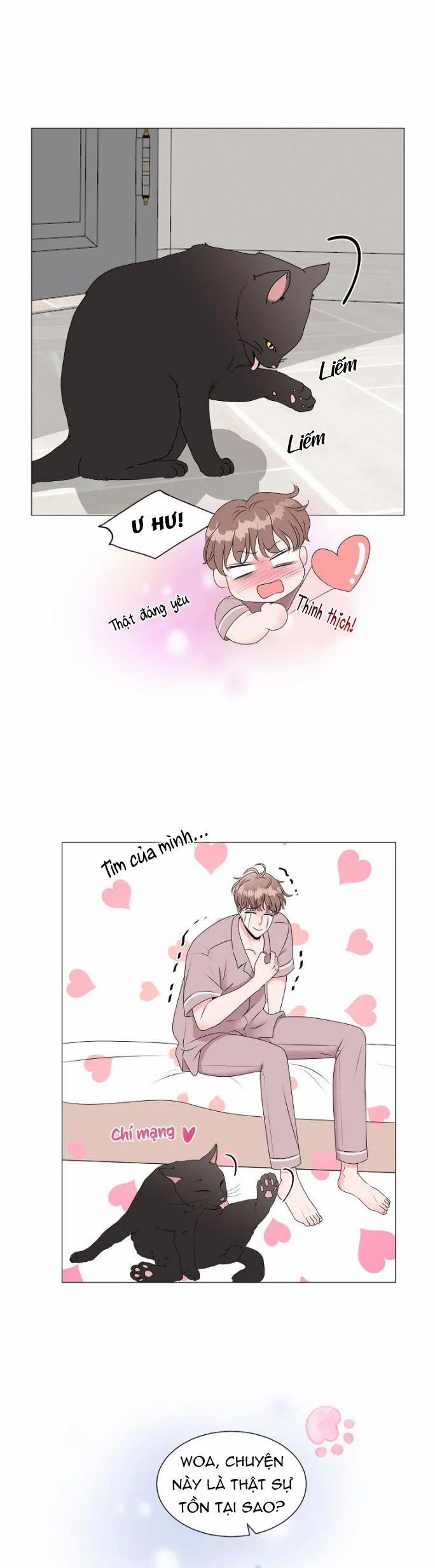 Chàng Mèo Của Tôi 3.1 trang 5