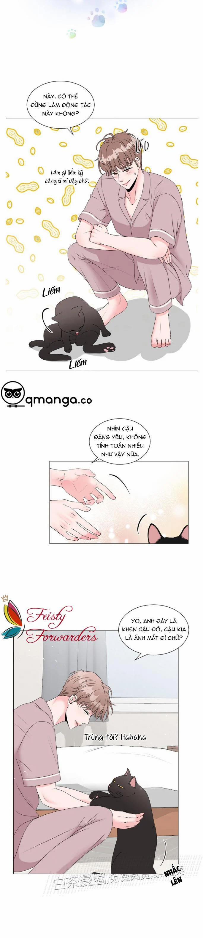 Chàng Mèo Của Tôi 3.1 trang 6