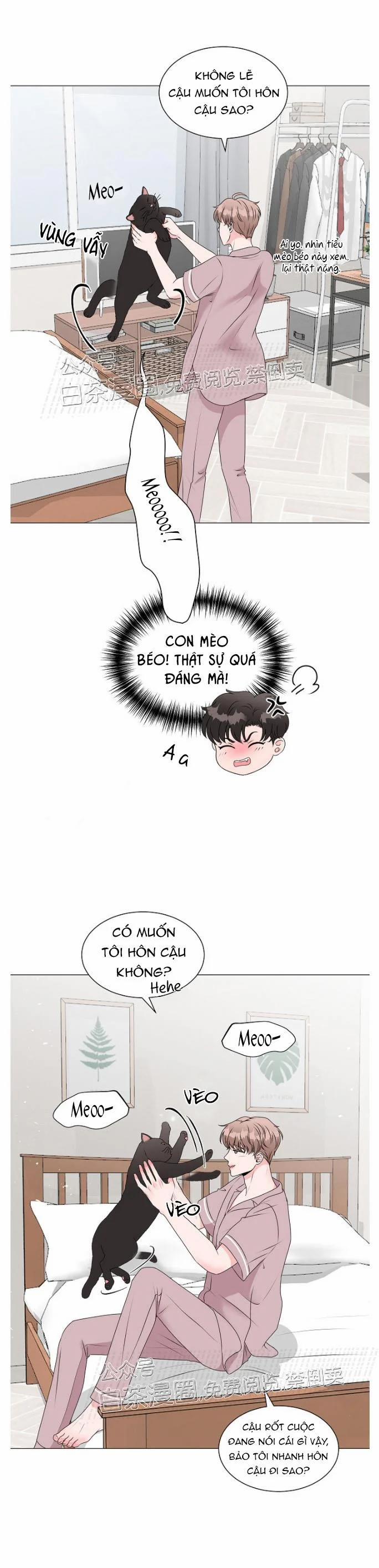 Chàng Mèo Của Tôi 3.1 trang 7