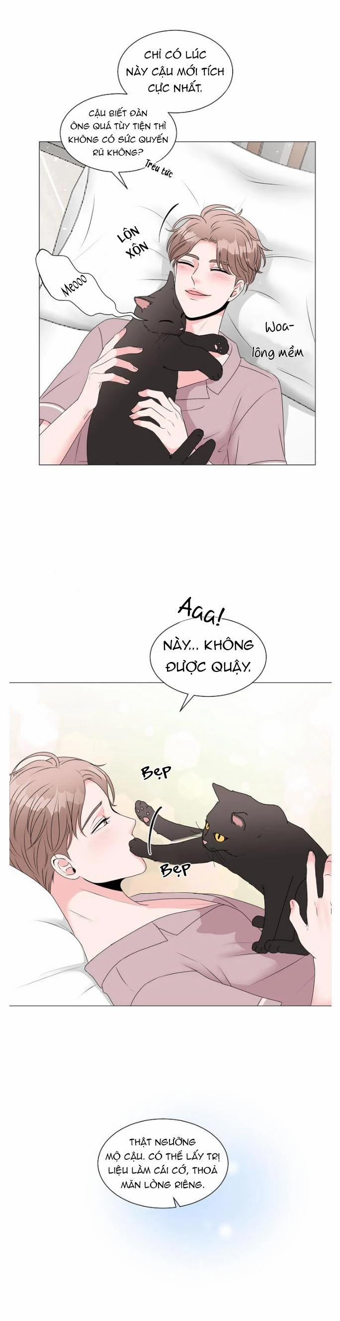 Chàng Mèo Của Tôi 3.1 trang 8