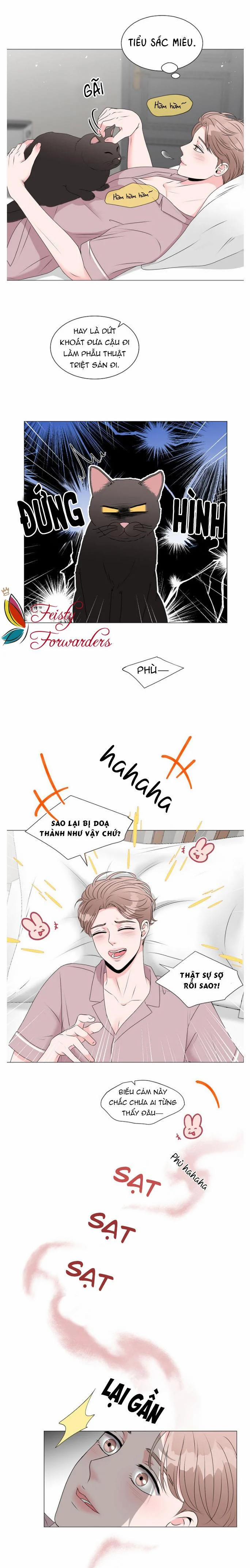 Chàng Mèo Của Tôi 3.1 trang 9