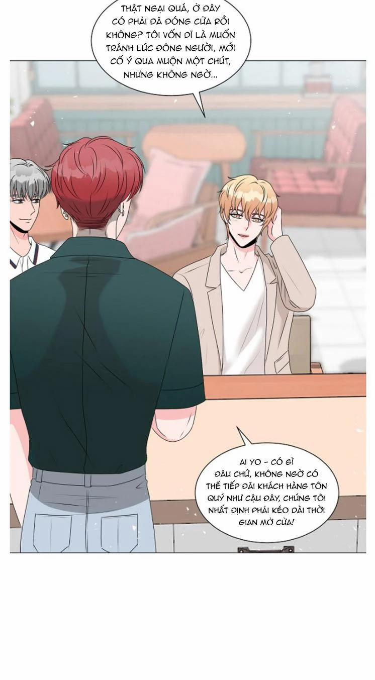 Chàng Mèo Của Tôi 4.1 trang 1