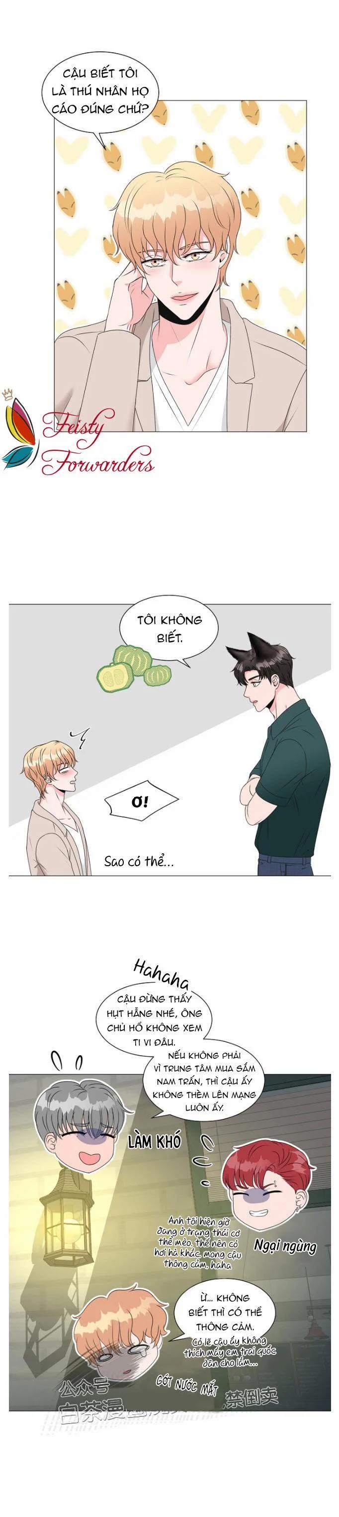 Chàng Mèo Của Tôi 4.1 trang 12