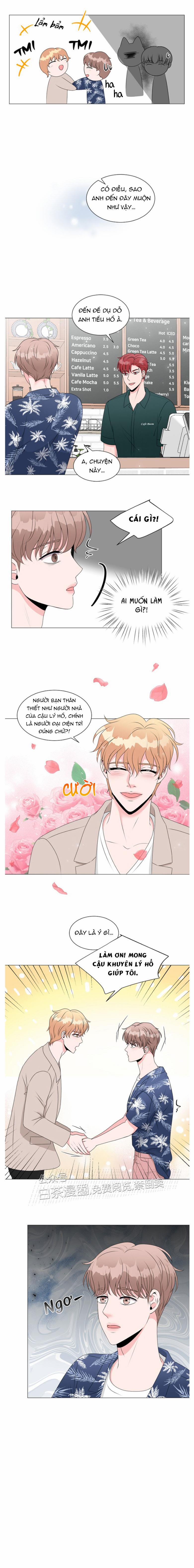 Chàng Mèo Của Tôi 4.1 trang 20