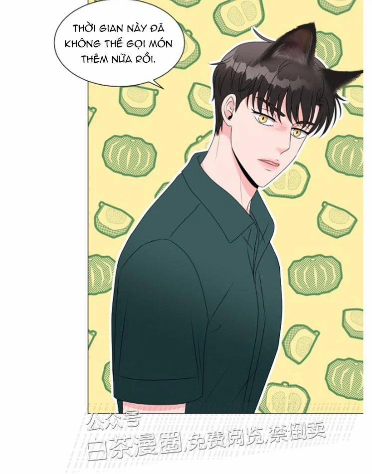 Chàng Mèo Của Tôi 4.1 trang 8