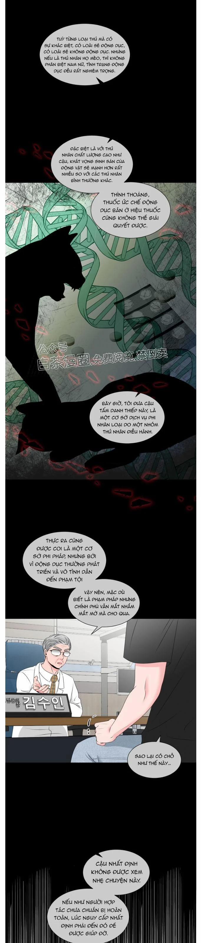 Chàng Mèo Của Tôi 4.2 trang 20