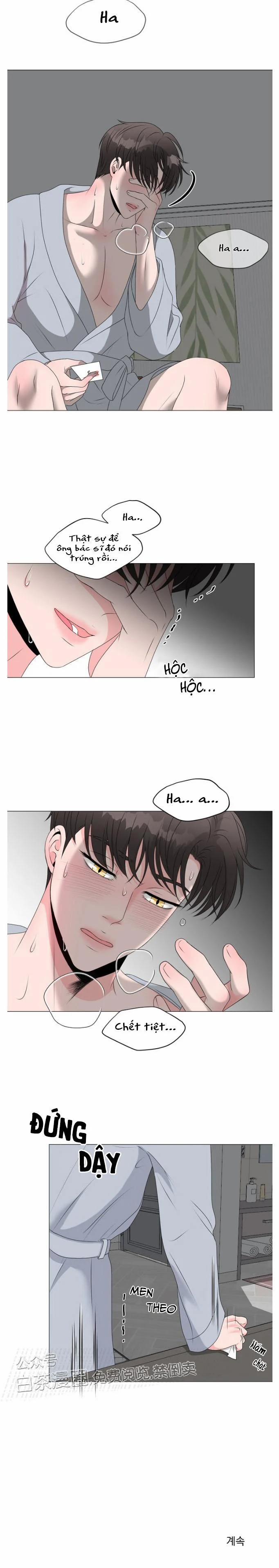 Chàng Mèo Của Tôi 4.2 trang 22