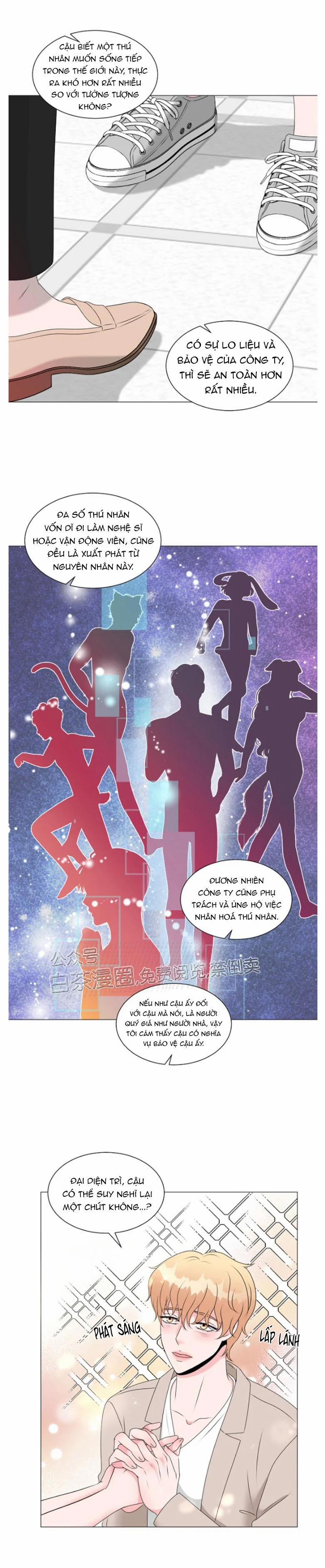 Chàng Mèo Của Tôi 4.2 trang 4