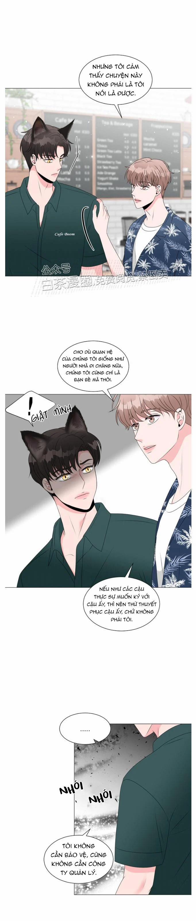 Chàng Mèo Của Tôi 4.2 trang 7