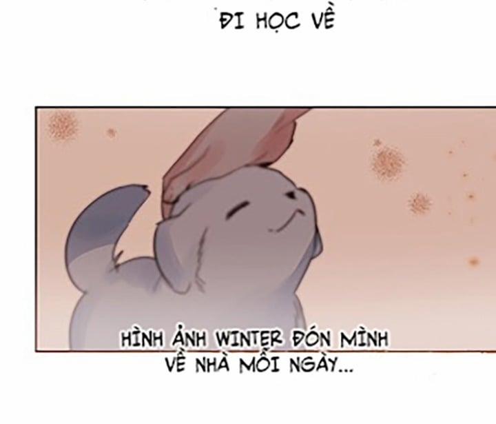 Chàng Mèo Trong Hộp Carton 10 trang 25