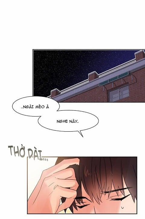 Chàng Mèo Trong Hộp Carton 11 trang 28