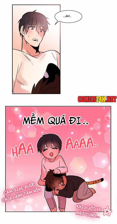 Chàng Mèo Trong Hộp Carton 11 trang 40