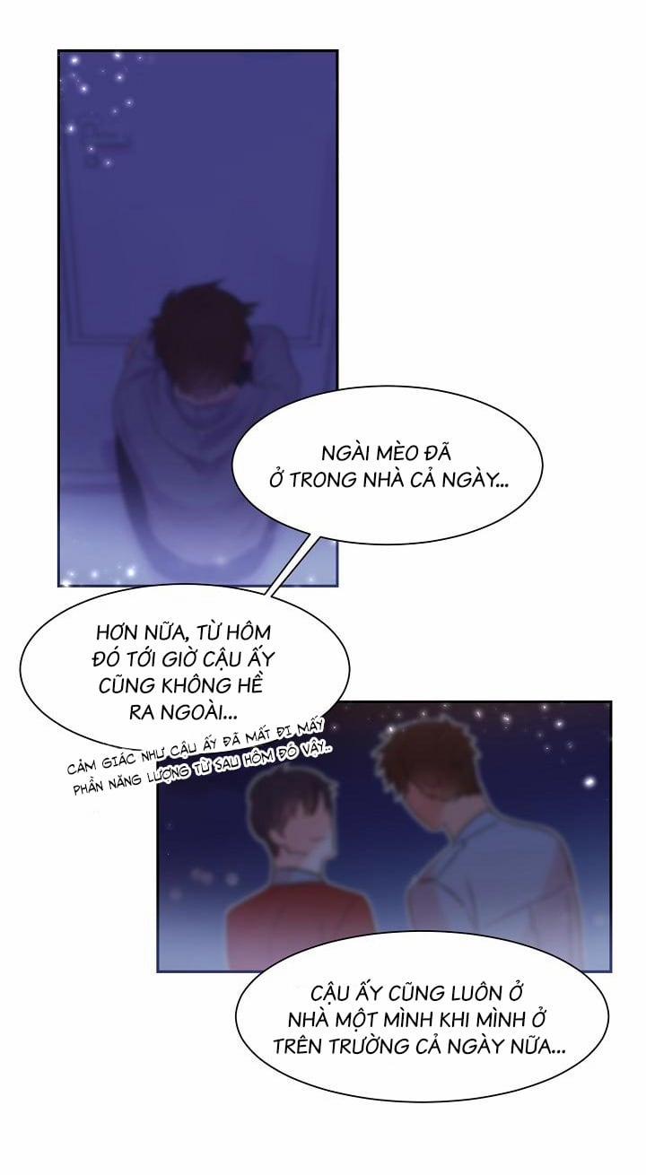 Chàng Mèo Trong Hộp Carton 12 trang 16