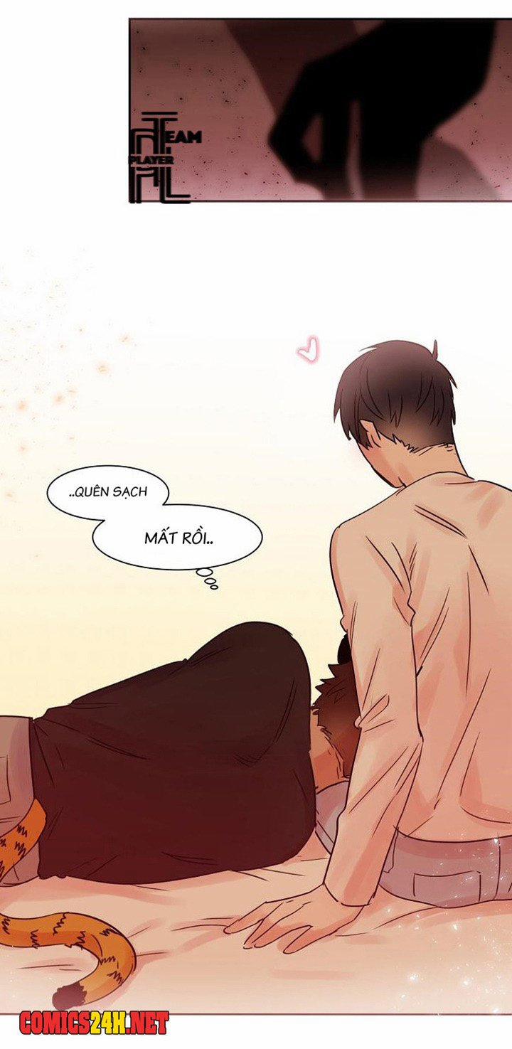 Chàng Mèo Trong Hộp Carton 12 trang 2