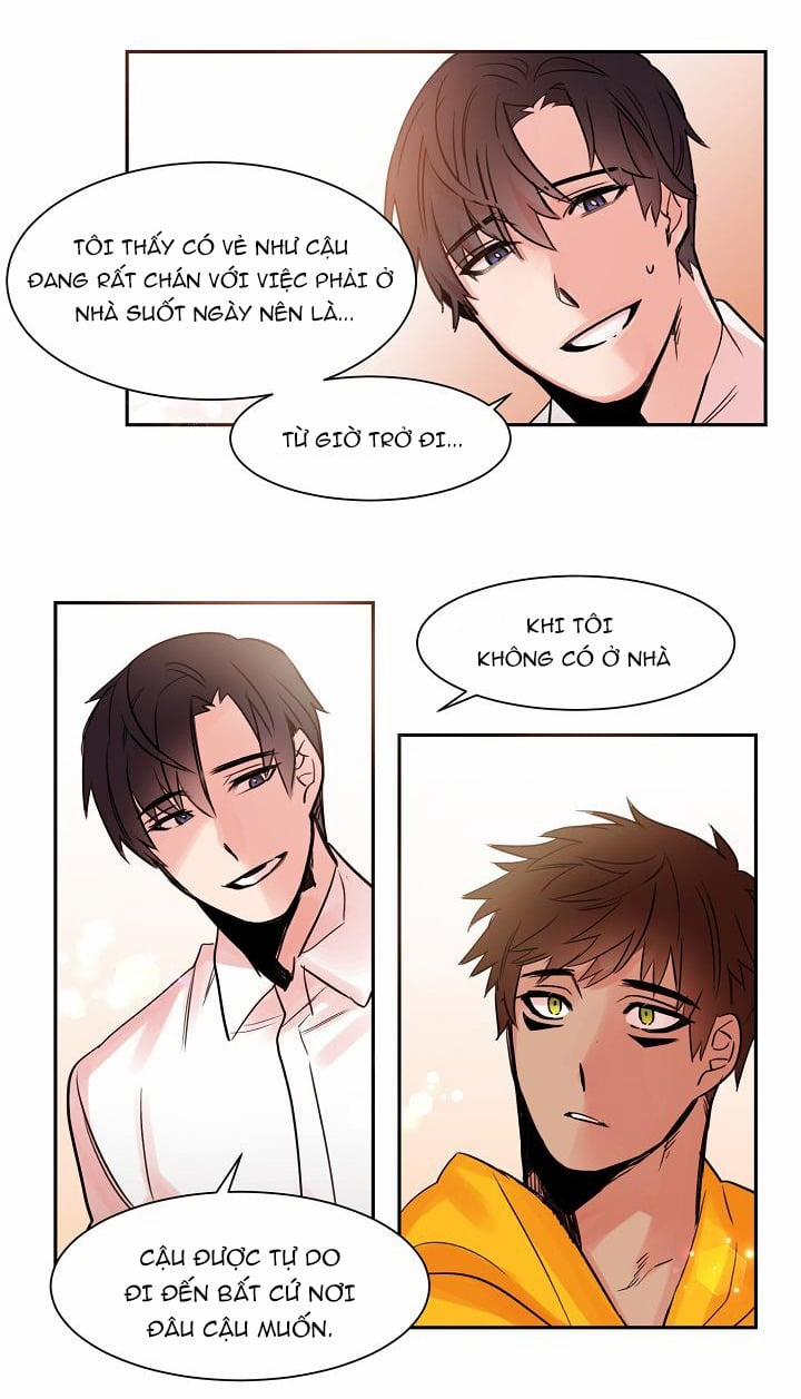 Chàng Mèo Trong Hộp Carton 12 trang 24