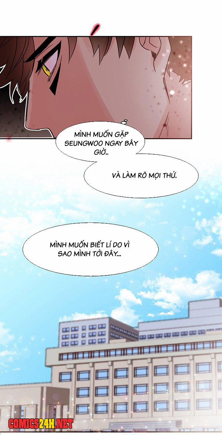 Chàng Mèo Trong Hộp Carton 13 trang 1