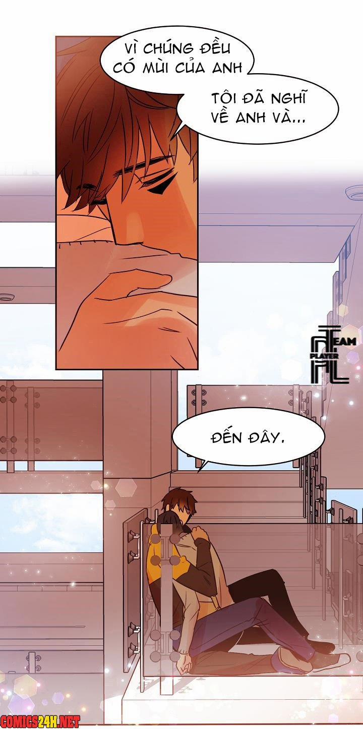 Chàng Mèo Trong Hộp Carton 14 trang 1