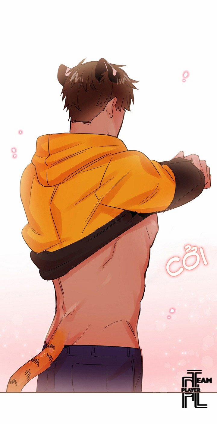 Chàng Mèo Trong Hộp Carton 14 trang 18