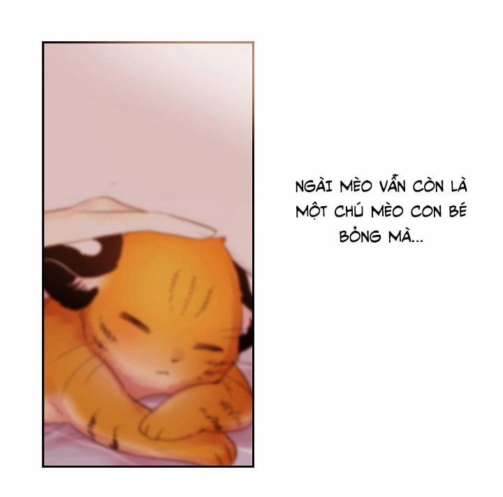 Chàng Mèo Trong Hộp Carton 14 trang 24