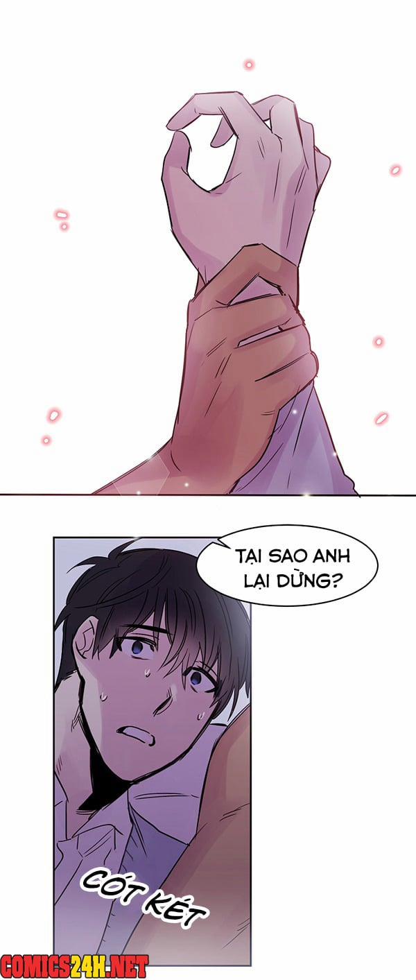 Chàng Mèo Trong Hộp Carton 15 trang 1