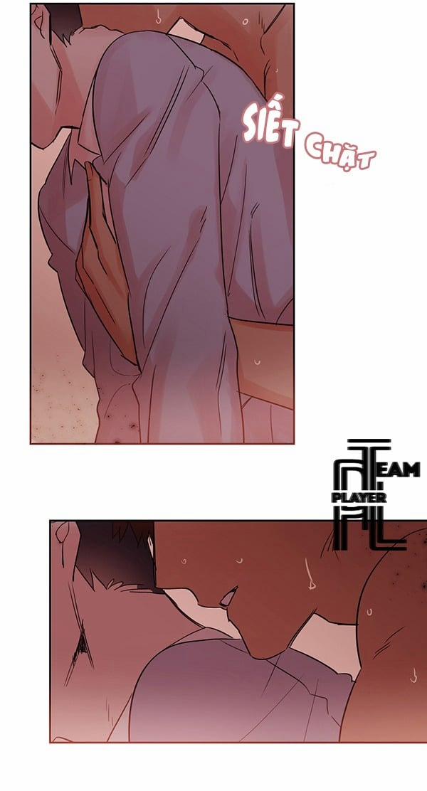 Chàng Mèo Trong Hộp Carton 15 trang 16